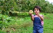 2012.09 - Apple Picking