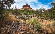 On the Courthouse Butte Loop