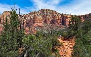 On the Courthouse Butte Loop