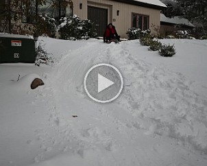 017